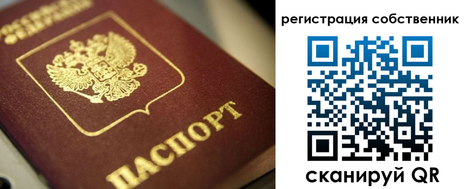 прописка в Сасово